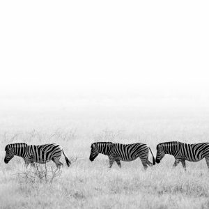 Silence africain - Namibie